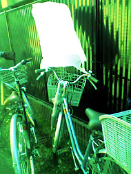 ��3��@�P�[�^�C�ʐ^���w���Ԏ��]�ԁx