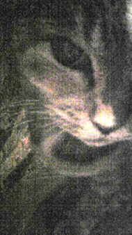 �������悭�B�ꂽ�w�݂�x18��