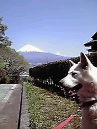 �I�O���c�A�[2011�t�A����3