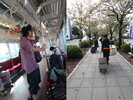 ���c����~���[�W�b�N�X�g���[�g�����Ãu���[���[���J�t�F