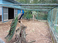 ���@�˓��n�R�J�t�F