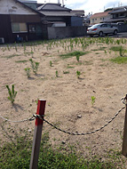 ���R �n�q���n�m