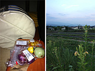 �R�� �B��s ��₭������