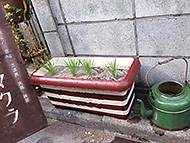 ���吧���