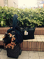 ��� ���蒬�@�n����