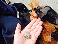 ���s �܏��n���� CAFE�����Ȃ�