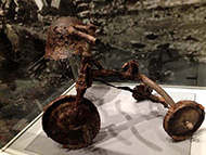 �L���@�ӂ�񂷍�