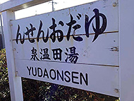 �R�����c����@�I���K���Y�����f�B�[