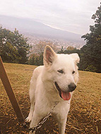 �l���G�X�P���[�^68