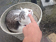 �l���G�X�P���[�^68