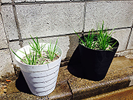 ���吧���