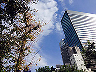 �P�H Quiet Holiday