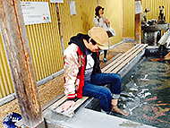 ���c����I���K���Y�����f�B�[