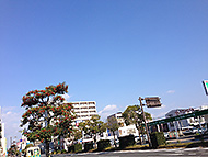 �L�� ���R �|���|��