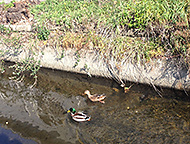 �L�� ���R �|���|��