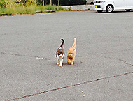 ���R the �n�q���n�m<