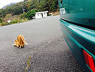 ���R the �n�q���n�m<