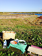 ������Cafe'�ԉ�