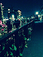 �~�b�N�X�_�E���I��