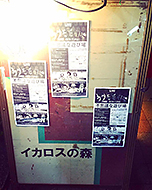 �_�� �C�J���X�̐X