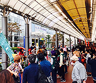 �P�H�T�E���h�g�|���W�[2019