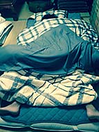 �ɓ��y��CRAZY SPOT31