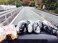 ����Drinkin' beer! HAM