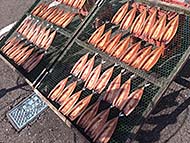 ����Drinkin' beer! HAM