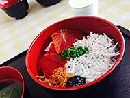 ����Drinkin' beer! HAM