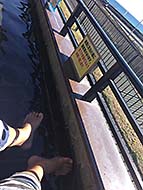 �L�� FreeStyle BAR ��RiN