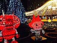 ���S VOODOO LOUNGE