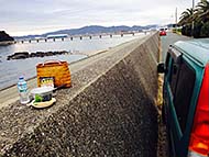 ���S VOODOO LOUNGE