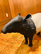 ���{�@���񏈂��΂���