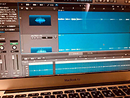 �v�X�Ƀ��I����ƐH����