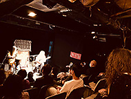 �_�� �C�J���X�̐X