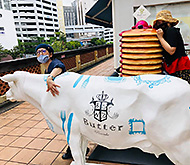 �_�� �C�J���X�̐X