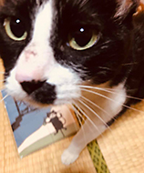 ���~���V���[�{�[�g