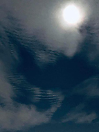 �w����ł������x