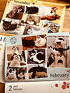 ���~���j�����_���[�Y�̃J�����_�[�Q�b�g