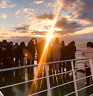 �V�N�����߂��܂��Ă��߂łƂ��������܂�