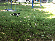 �_�ˎO�{�@BAR��