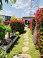 ���RWise Garden