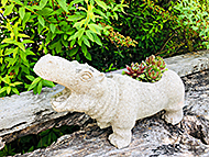 ���RWise Garden