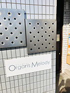 ���c����I���K���Y�����f�B�[