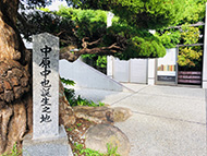 ���c����I���K���Y�����f�B�[