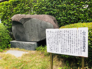 ���c����I���K���Y�����f�B�[