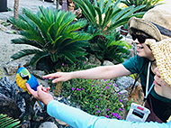 �I�O��&�W�����}�L���A���߂Ă̈Ԉ���