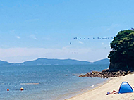 �I�O��&�W�����}�L���A���߂Ă̈Ԉ���