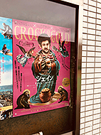 �V�F�C���̉f��