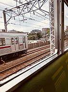 �V�F�C���̉f��